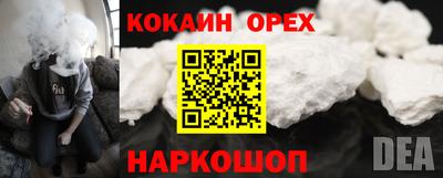 ешки Бийск