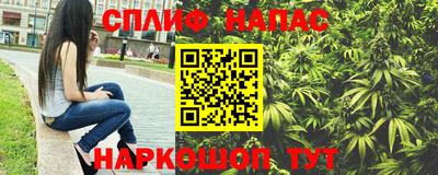 ешки Бийск