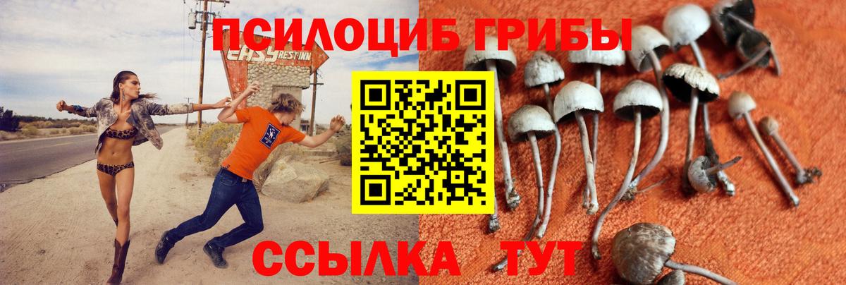 Галлюциногенные грибы MAGIC MUSHROOMS Вольск