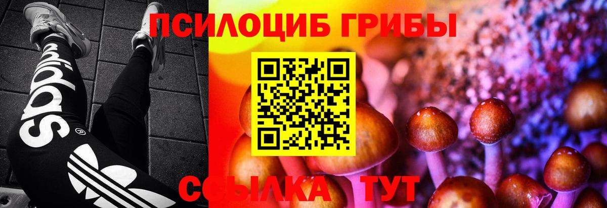 где купить наркоту  Вход с VPN  Вольск  Галлюциногенные грибы ЛСД 